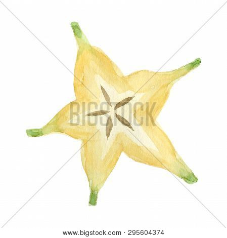 Watercolor Carambola Fruit. Hand Drawn Summer Illustration. Design For Fabric, Packaging, Textile, C
