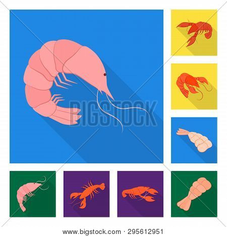 Vector Design Of Appetizer And Seafood Symbol. Set Of Appetizer And Ocean Vector Icon For Stock.