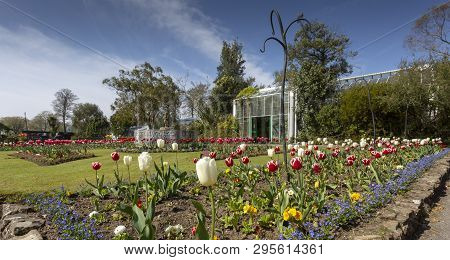 Editorial Swansea, Uk - April 13, 2019: The Botanical Gardens Set Within The Tranquil Surroundings O
