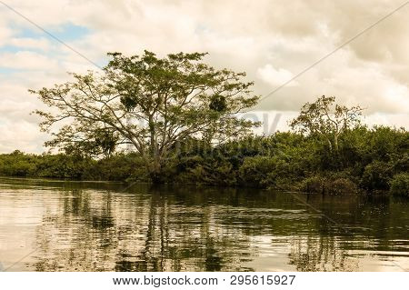 View Of The Yacuma River, In The Bolivian Jungle. Amazon Region In Bolivia.