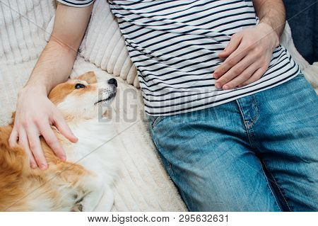 Dog Lies Next To The Man On The Bed And Looks At The Devotee.