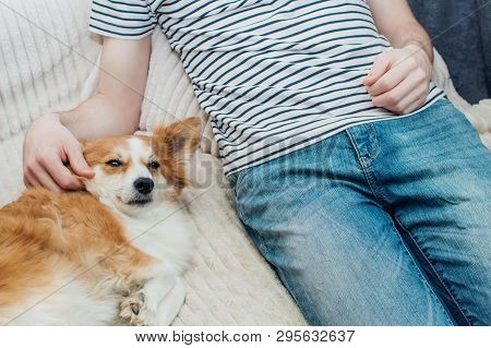 Dog Lies Next To The Man On The Bed And Looks Into The Camera. Happy Dog