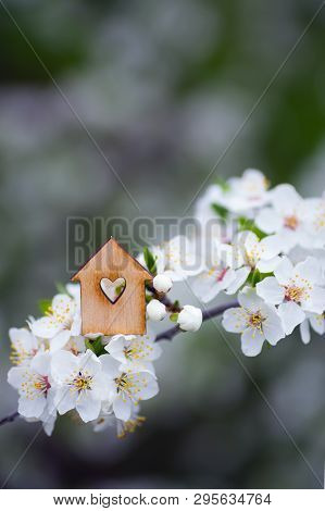 Closeup Wooden House With Hole In Form Of Heart Surrounded By White Flowering Branches Of Spring Tre