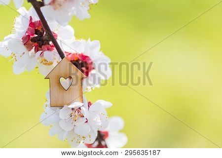 Closeup Wooden House With Hole In Form Of Heart Surrounded By White Flowering Branches Of Spring Tre