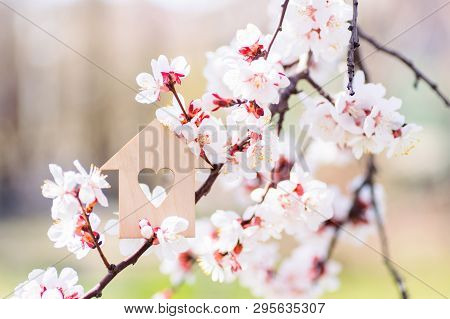 Closeup Wooden House With Hole In Form Of Heart Surrounded By White Flowering Branches Of Spring Tre