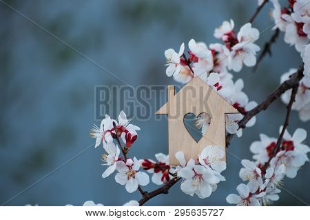 Closeup Wooden House With Hole In Form Of Heart Surrounded By White Flowering Branches Of Spring Tre