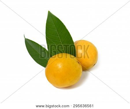 Fruit Of Brazil Cajarana. Cajá. Sour And Delicious Fruit With Leaves. Isolated Cajaranas Fruits.