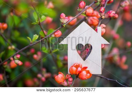 Closeup Wooden House With Hole In Form Of Heart Surrounded By Pink Flowering Branches Of Spring Tree