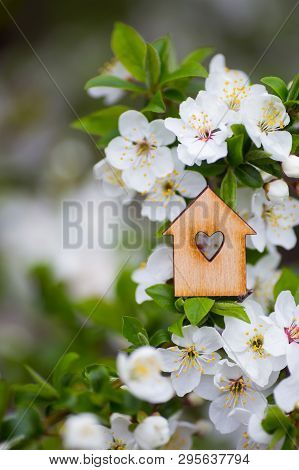 Closeup Wooden House With Hole In Form Of Heart Surrounded By White Flowering Branches Of Spring Tre