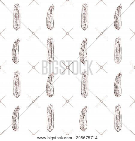 Seamless Pattern With Corn Cobs On A White Background. Vector Illustration