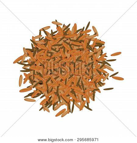 Vector Design Of Grain And Rice  Sign. Set Of Grain And Seed Vector Icon For Stock.