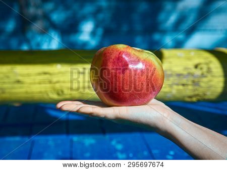 Gardener Hand Picking Green Apple. Hand Reaches For The Apples On The Tree