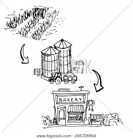 Production Chain For The Production Of Bread, From The Field To The Bakery, Freehand Drawing.