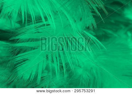 Beautiful Dark Green Viridian Vintage Color Trends Feather Texture Background