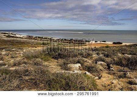 View From Denham Lookout In Western Australia
