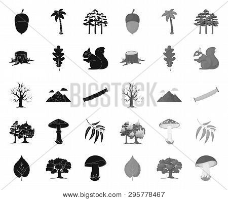 Forest And Nature Black.mono Icons In Set Collection For Design. Forest Life Vector Symbol Stock Web