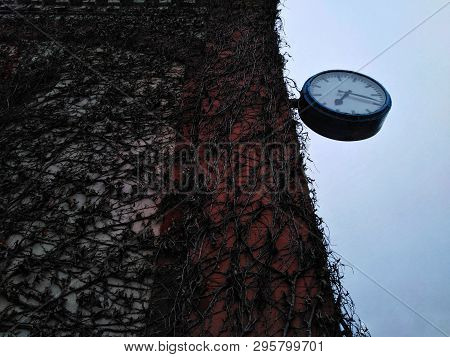 Time Is Merciless Before All Background, Wall