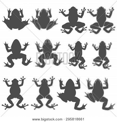Set Of Black And White Illustrations With Tree And River Frogs. Isolated Vector Objects On White Bac