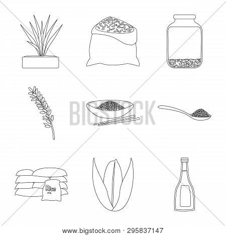 Vector Illustration Of Diet And Cooking Icon. Collection Of Diet And Organic Stock Vector Illustrati