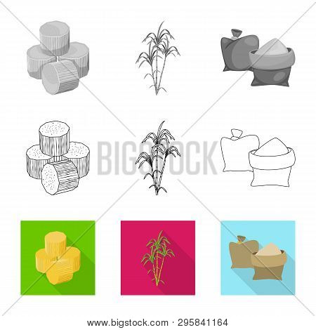 Vector Design Of Farm And Agriculture  Sign. Set Of Farm And Technology Stock Symbol For Web.