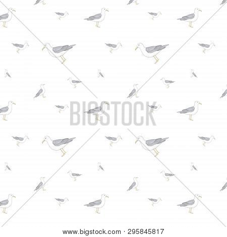 Sea Gull Seamlless Pattern Bird Illustration On White Background