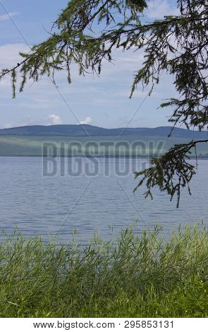 Large Lake In Siberia. Reeds Grow In The Water.