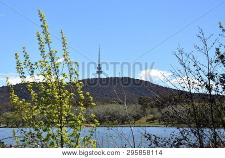 Panoramic View Of Black Mountain Tower (telstra Tower) And Lake Burley Griffin In  Canberra, Austral