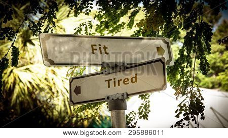 Street Sign Fit Versus Tired Shield Signpost Direction