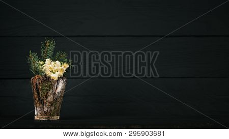 Leucojum Vernum In A Decorative Vase. Is The First Spring Snowflake. Theme Of International Womens D