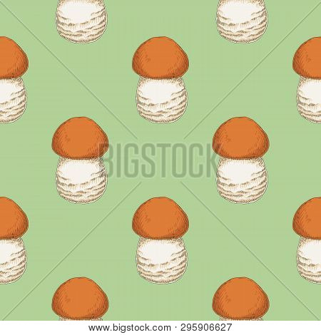Seamless Vector Pattern With Boletus Edible Mushroom On Green Background