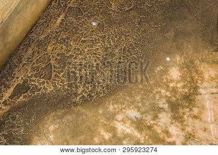 Very Badly Infected Bathroom Interiour With Fungus