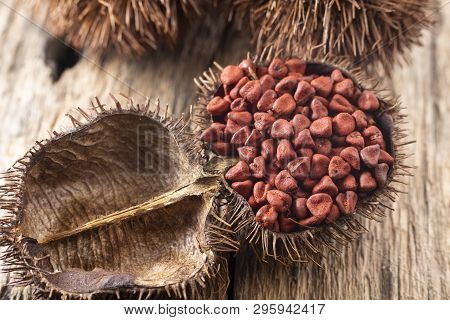 Annatto Seeds On Rustic Wood