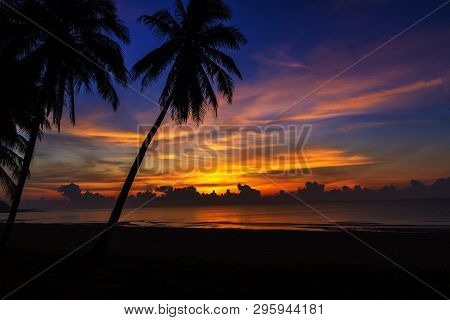 Sunrise With Shadow Coconut On Beach At Thung Wua Lan Beach, Chumphon Province Thailand