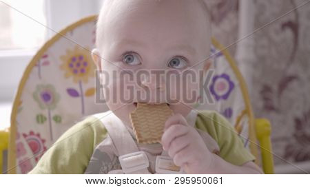 Beautiful Small Toddler Boy At The Table Take A Cookie In His Hand, Eating It And Watching Into The 