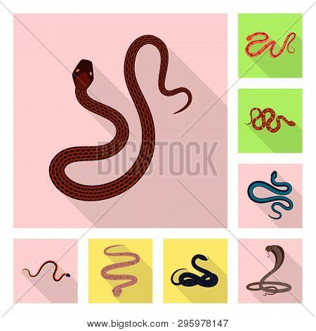 Vector Design Of Skin And Reptile Sign. Set Of Skin And Danger Stock Symbol For Web.