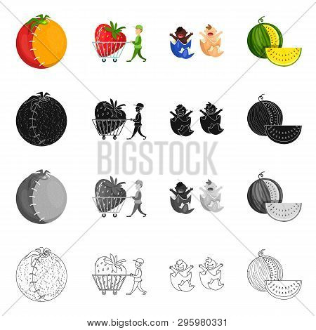 Isolated Object Of Test And Synthetic Icon. Set Of Test And Laboratory Vector Icon For Stock.