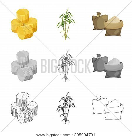 Vector Illustration Of Farm And Agriculture  Symbol. Collection Of Farm And Technology Stock Vector 