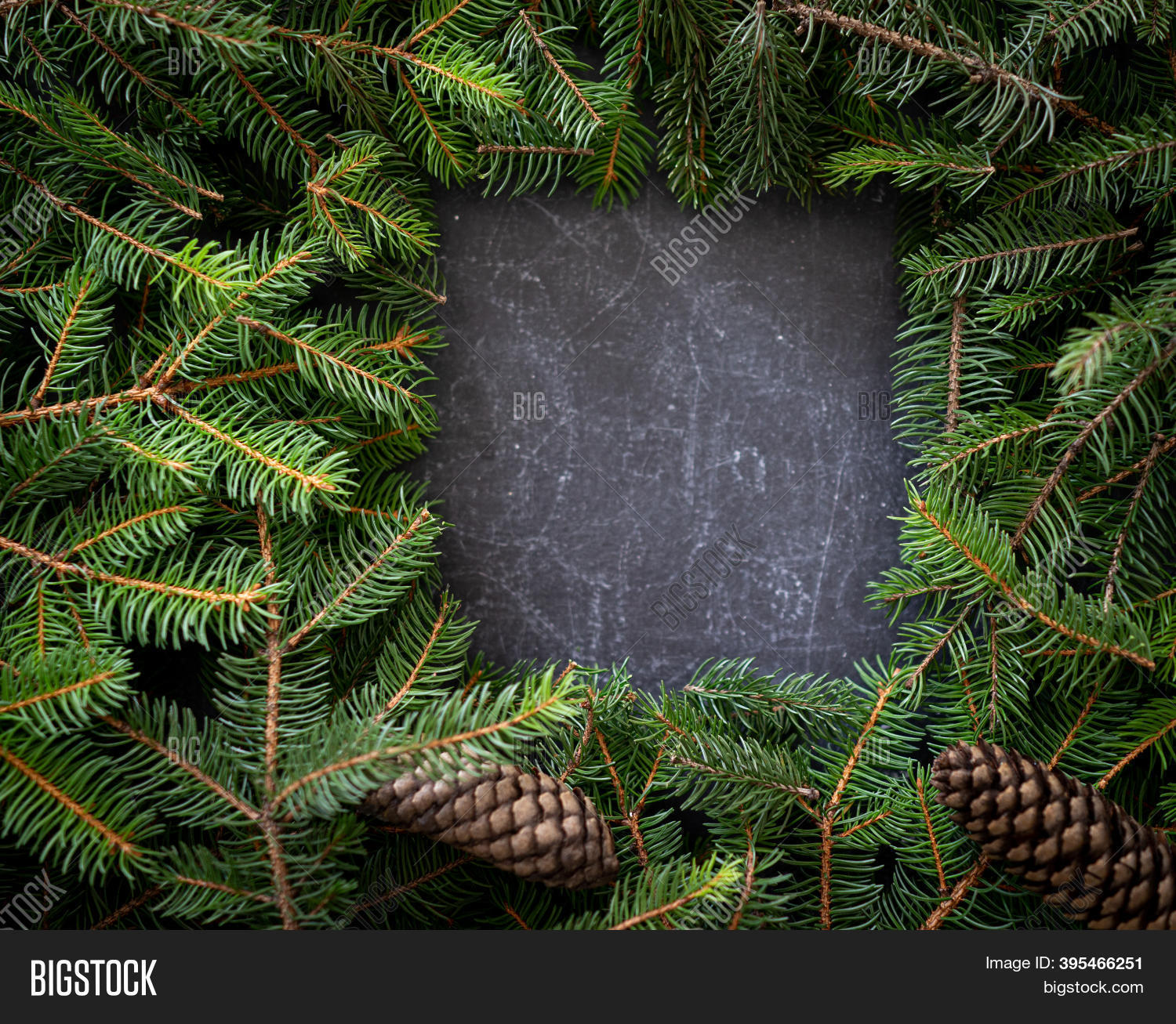 Pine Wood Tree Closeup Image & Photo (Free Trial) Bigstock
