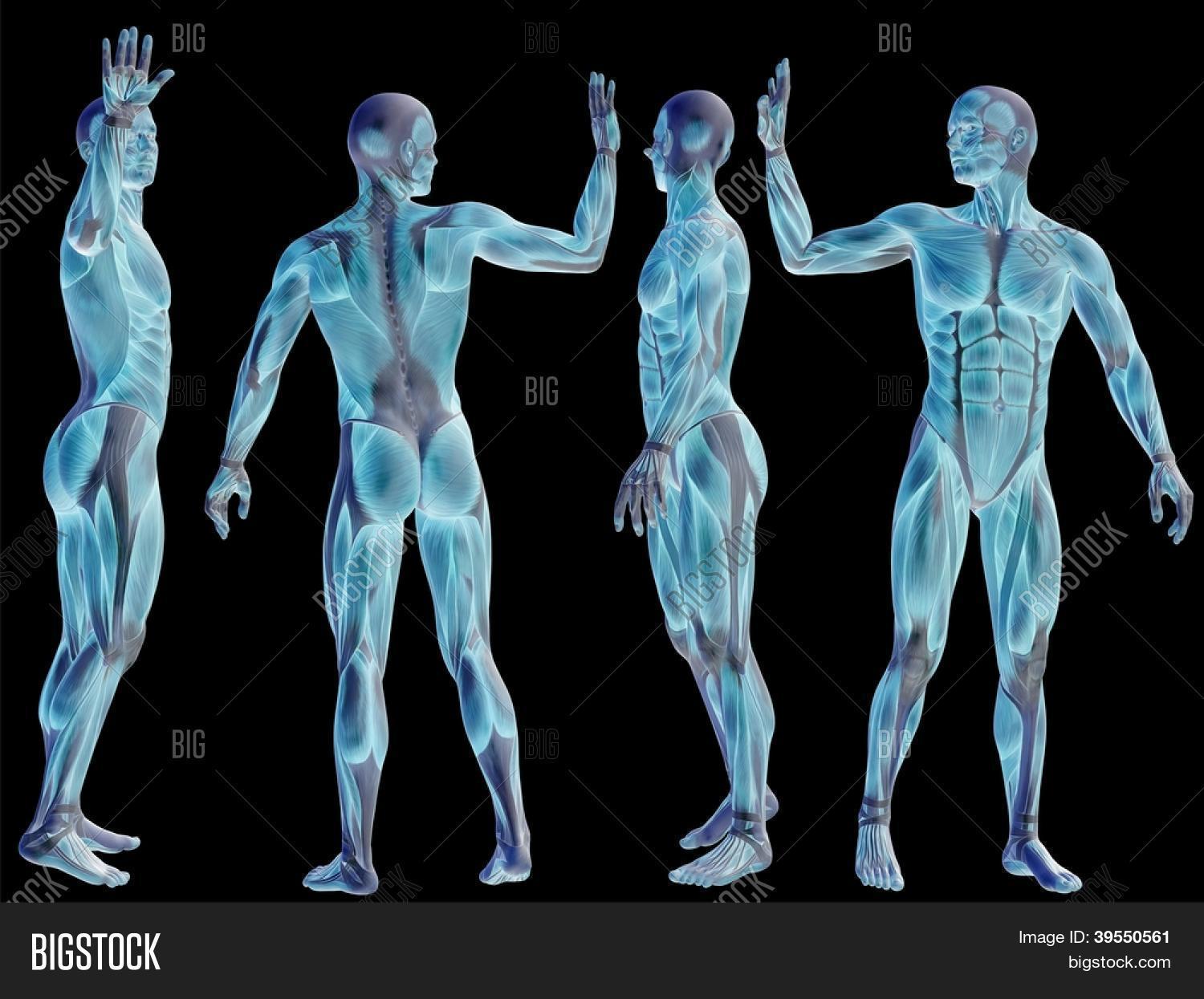 High Resolution Image & Photo (Free Trial) | Bigstock