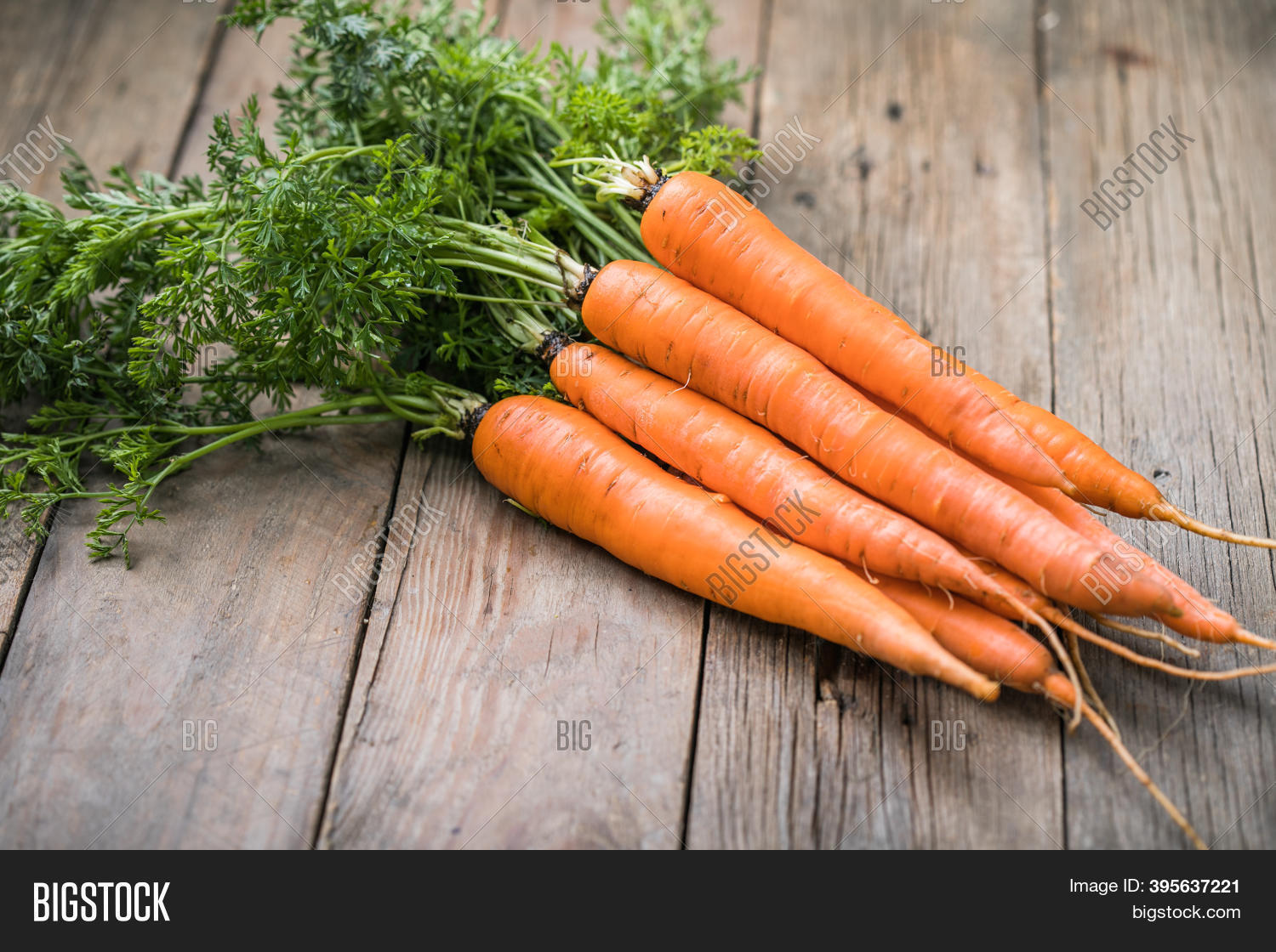 Fresh Carrots Bunch On Image & Photo (Free Trial) | Bigstock