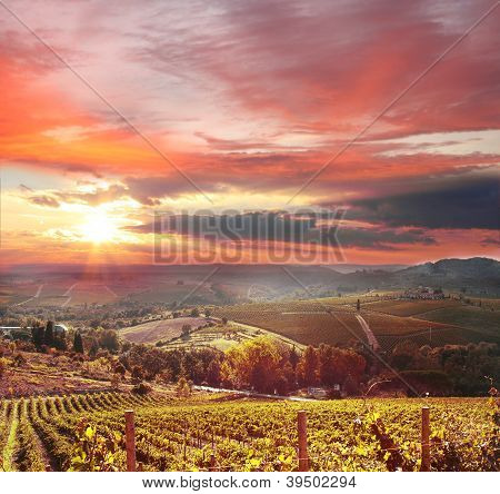 Chianti vineyard landscape in Tuscany, Italy