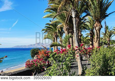 Puerto Del Carmen, Lanzarote, Canary Islands, Spain
