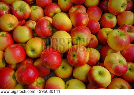 Red And Yellow Apples In The Market Close-up. Natural Background. Top View. Harvest. Autumn/fall Fru