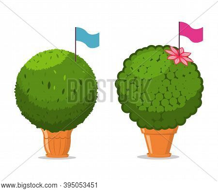 Manjerico Plant With Flag In A Pot. Vector Cartoon Illustration Isolated On A White Background.