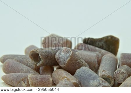 Stone Fossils Of Prehistoric Squid Like Sea Creates.