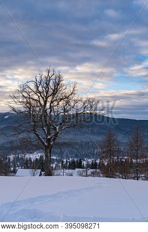 Small Alpine Village And Winter Snowy Mountains In First Sunrise Sunlight Around, Voronenko, Carpath