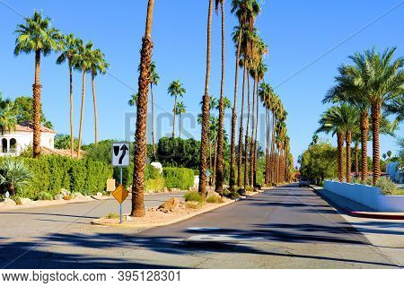 November 15, 2020 In Palm Springs, Ca:  Palm Tree Lined Residential Street Surrounded By Homes Taken