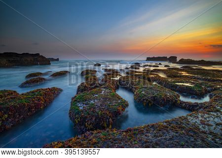 Beautiful Seascape. Ocean With Motion Waves. Low Lide. Stones Covered By Green Moss And Seaweeds. Co