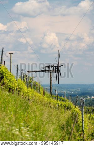 vineyard with windmill called klapotetz in south of Styria, Austria