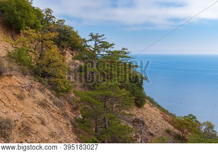 Fall Landscape Of The Black Sea Shore In Natural Reserve On Cape Martyan Near Yalta City, Ukraine